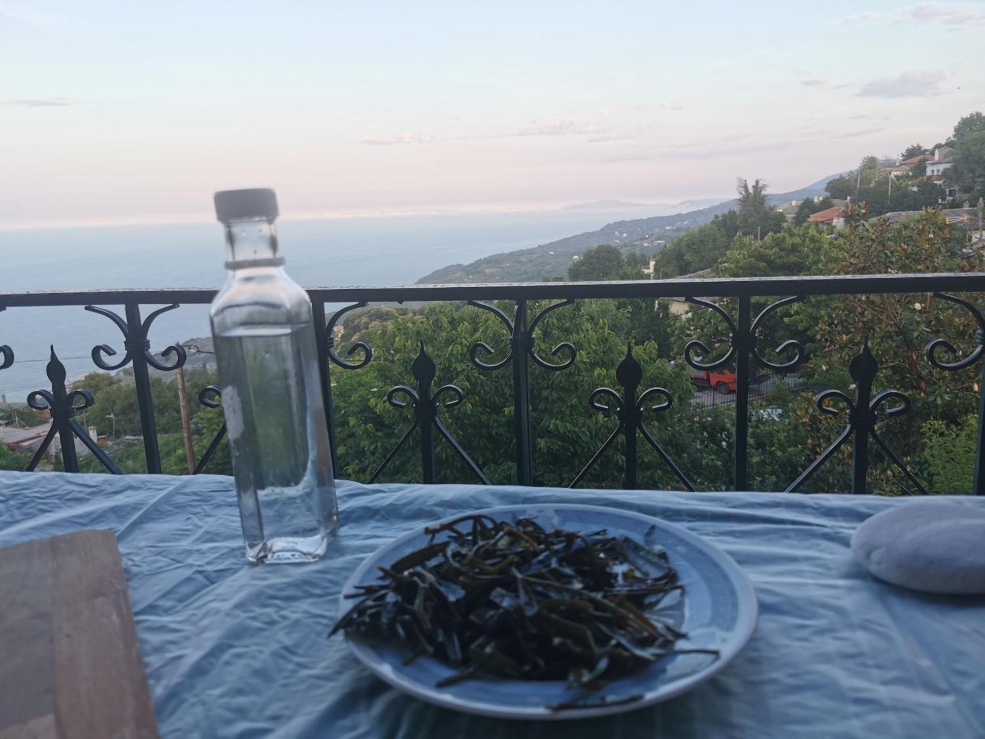 Guest House Pafili زاغورا المظهر الخارجي الصورة