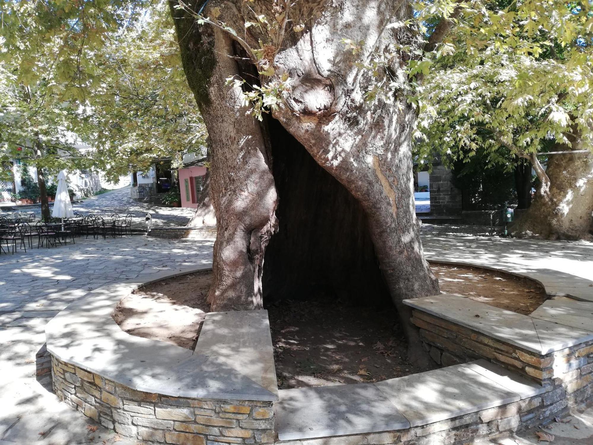 Guest House Pafili زاغورا المظهر الخارجي الصورة