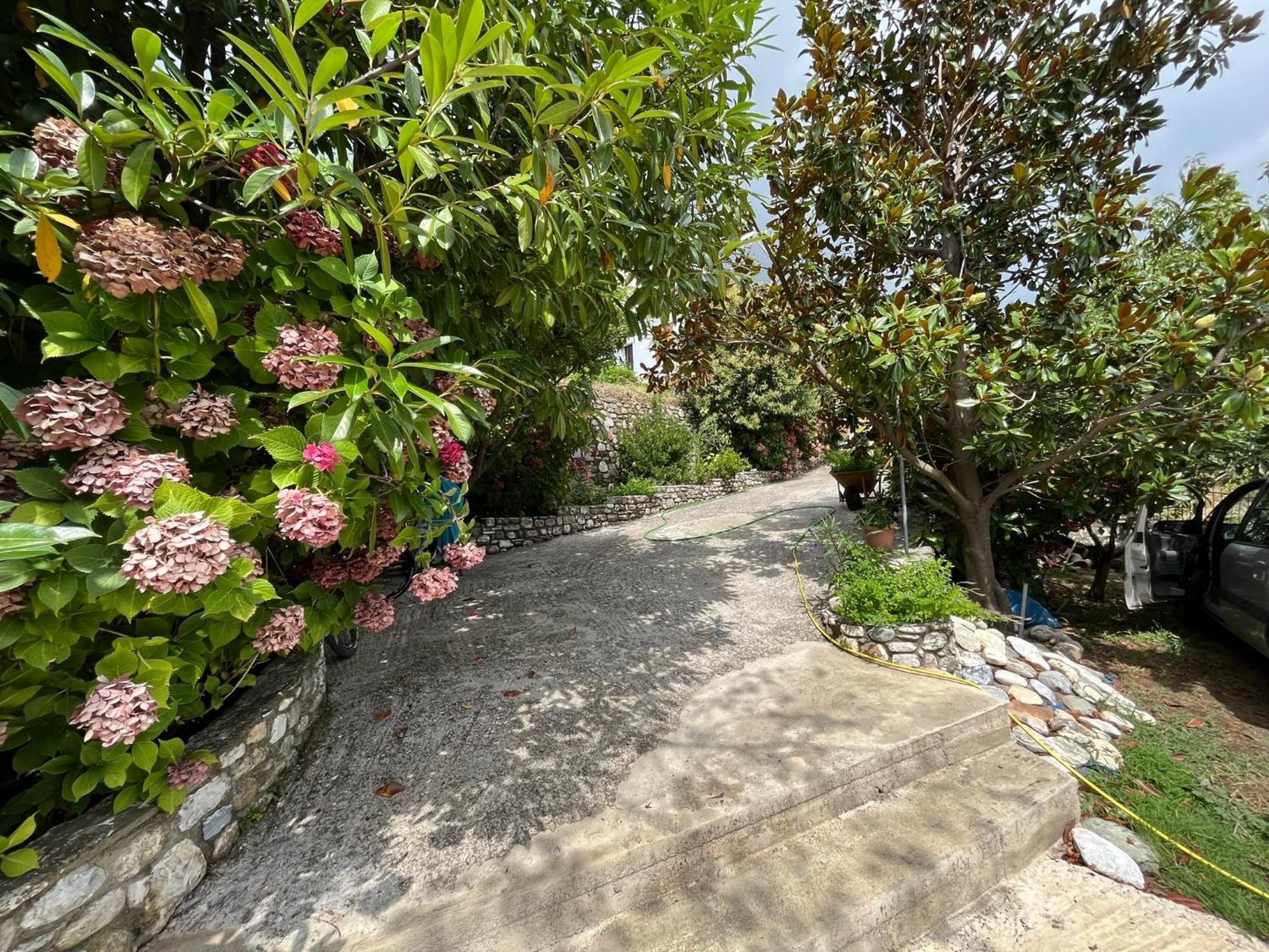 Guest House Pafili زاغورا المظهر الخارجي الصورة